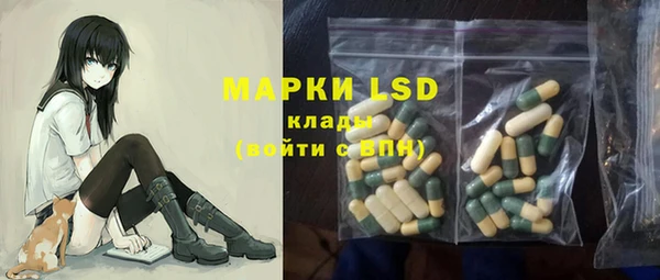 гашик Зерноград