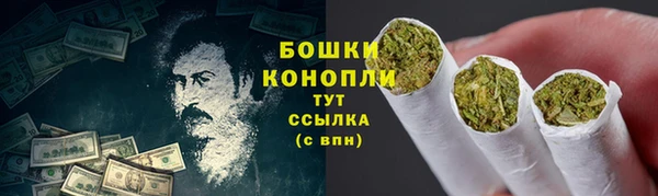 гашик Зерноград