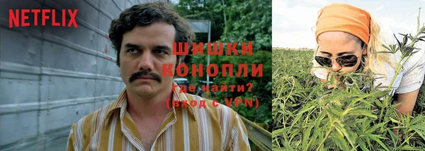 гашик Зерноград