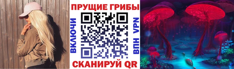 Купить  Гороховец  Галлюциногенные грибы прущие грибы 